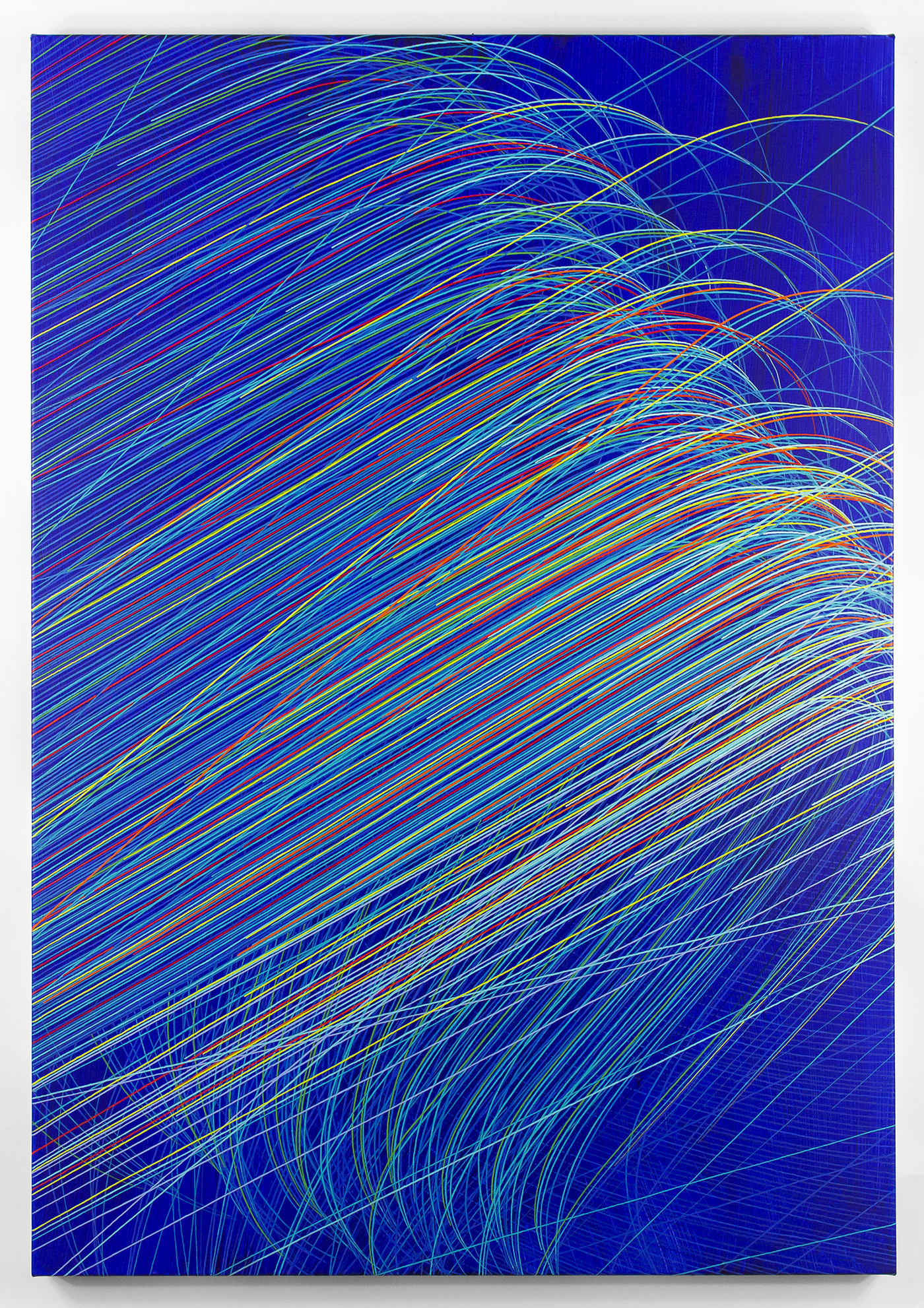 Untitled n.113
